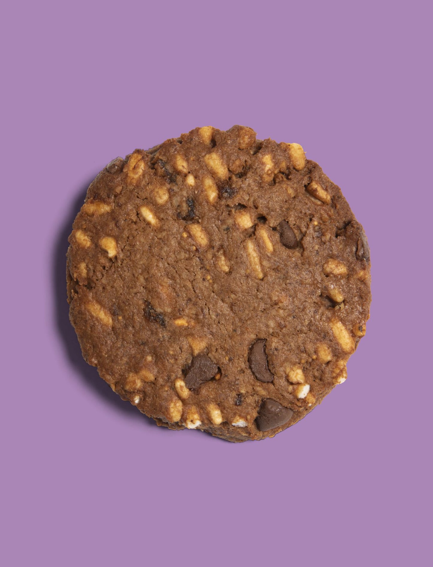 Plant-Powered Dark Chocolate Chip Artisan Cookies — Vegan/Gluten Free 50g Individually Wrapped (24 pieces)