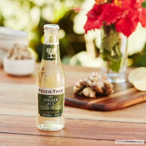Dry Ginger Ale (500ml)